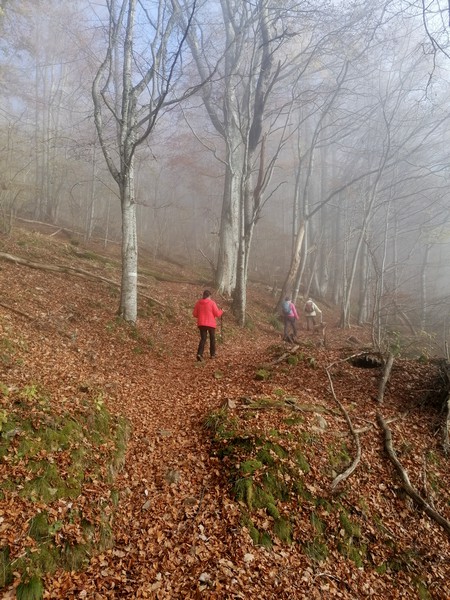 chemin_1.jpg
