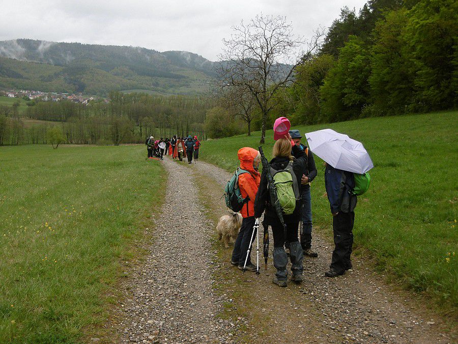 val_de_patre_02.jpg