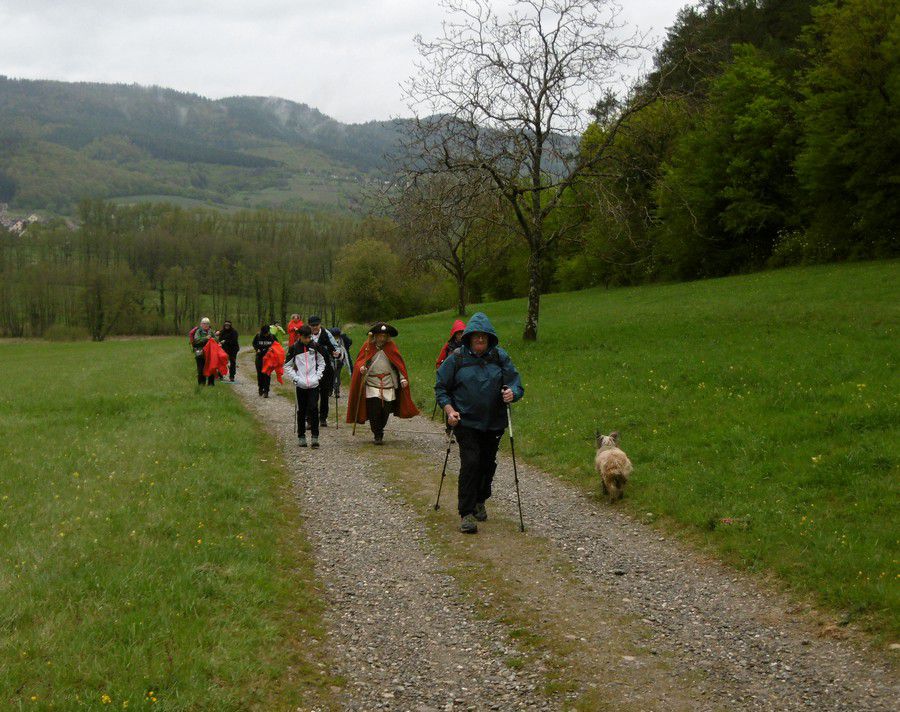 val_de_patre_03.jpg
