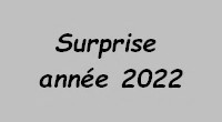 surprise_2022.jpg